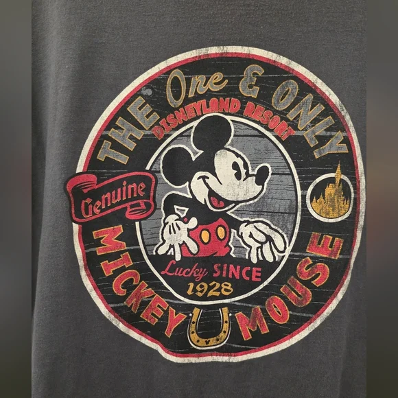 Disney Parks Authentic Original 100% cotton graphic T Size XXL UNISEX - Picture 3 of 6